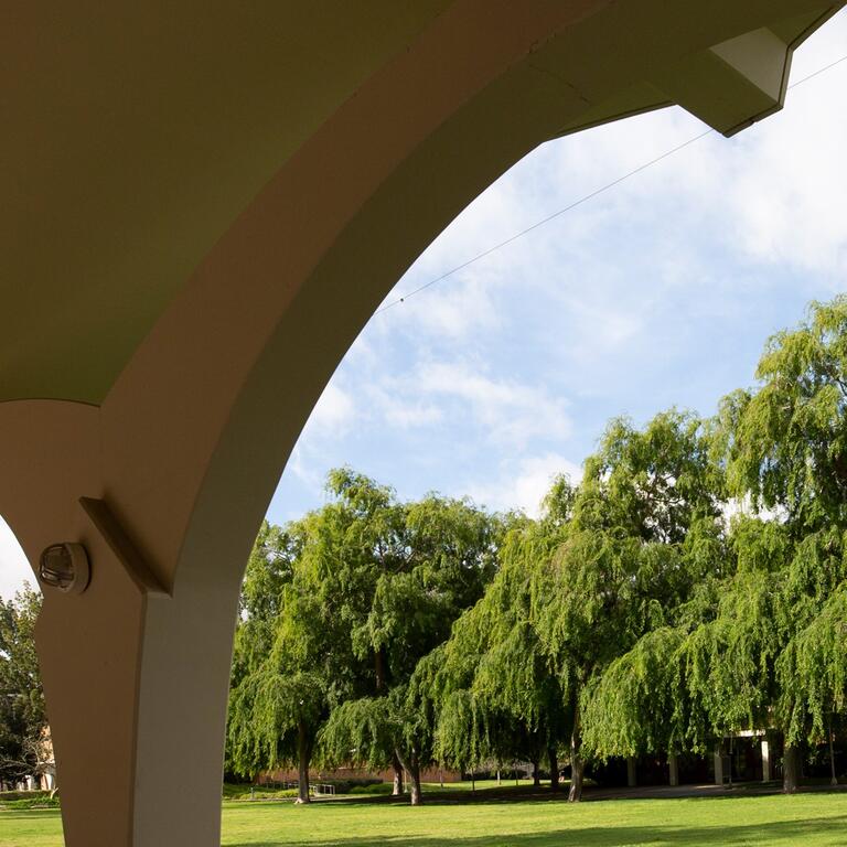 The UC Rivera Library Arches