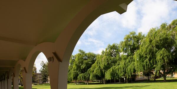 The UC Rivera Library Arches