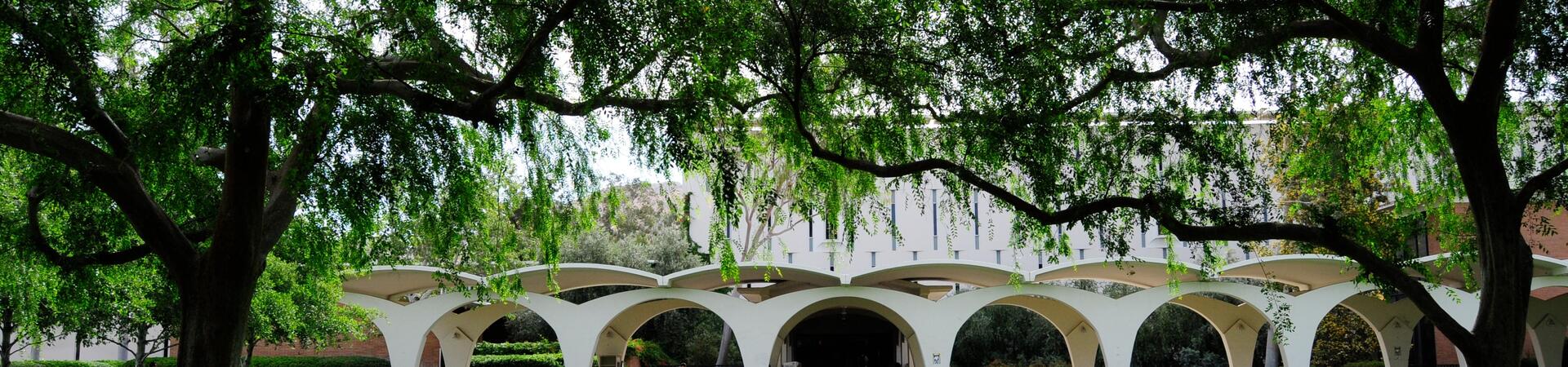 The Rivera Library Arches, the inspiration for the Buscadores Logo